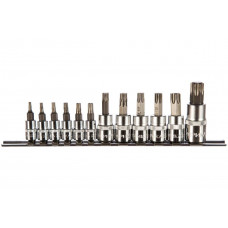 Набор вставок 1/4", 3/8", 1/2" торкс T10-T60 12 пр.// ЭВРИКА